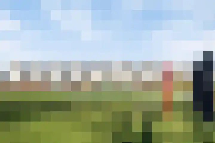 Laan der Middeleeuwen 39 Oss thumbnail 24