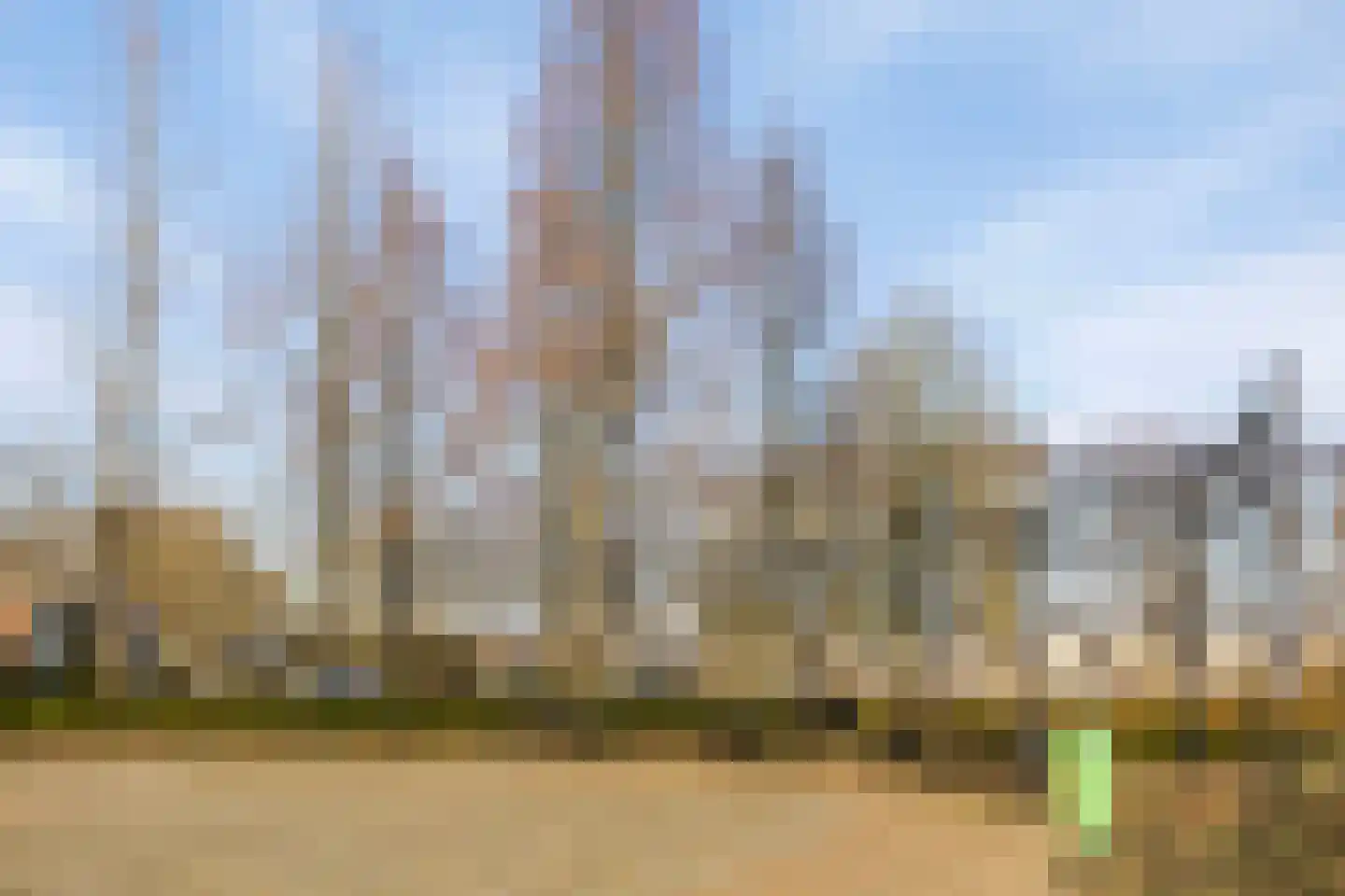 Laan der Middeleeuwen 39 Oss thumbnail 25