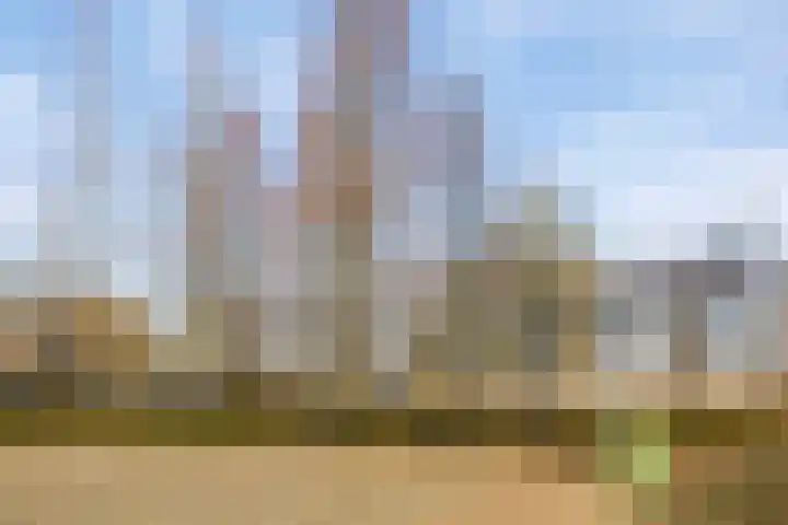 Laan der Middeleeuwen 39 Oss thumbnail 25
