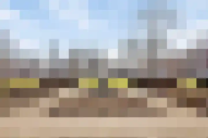 Laan der Middeleeuwen 39 Oss thumbnail 26