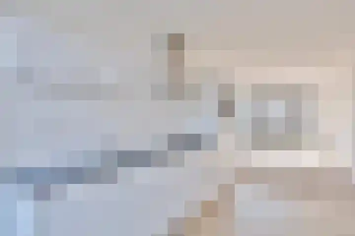 Laan der Middeleeuwen 39 Oss thumbnail 7
