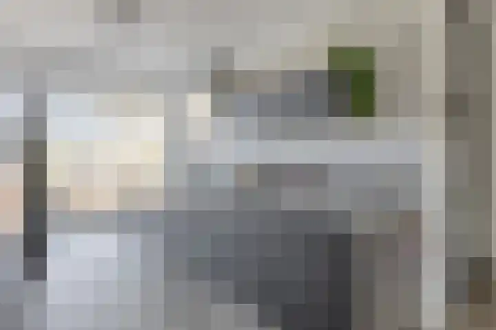 Laan der Middeleeuwen 55 Oss thumbnail 11