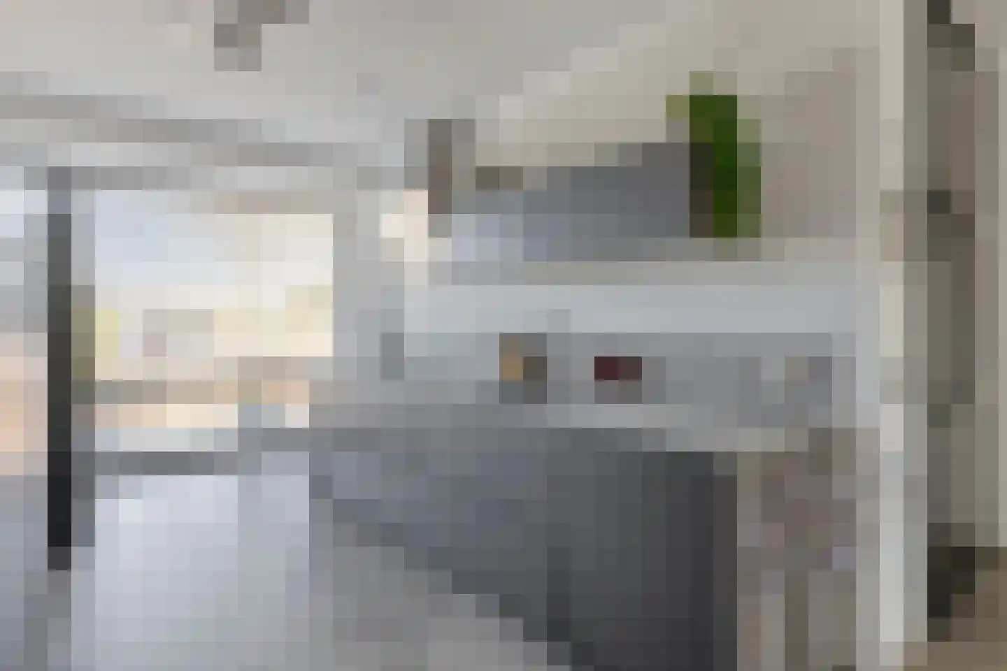 Laan der Middeleeuwen 55 Oss thumbnail 11