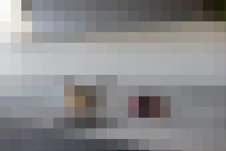 Laan der Middeleeuwen 55 Oss thumbnail 13