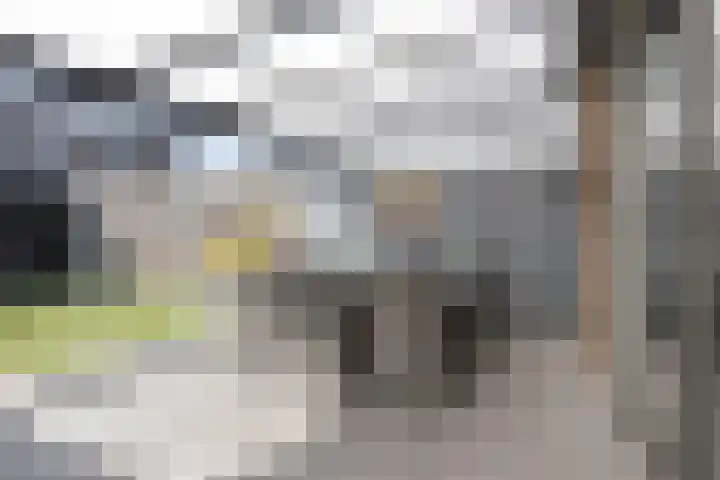 Laan der Middeleeuwen 55 Oss thumbnail 21