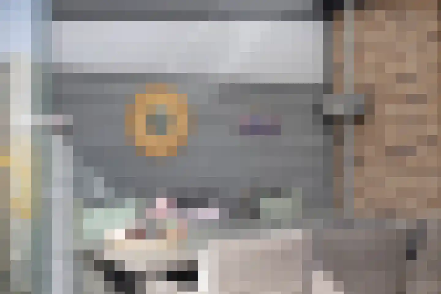 Laan der Middeleeuwen 55 Oss thumbnail 22