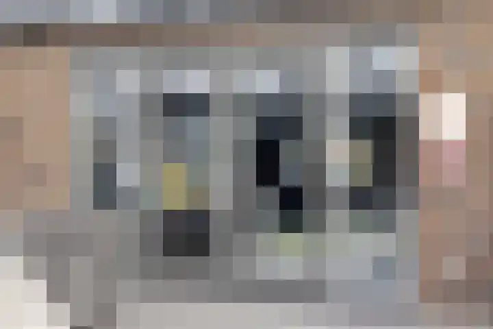 Laan der Middeleeuwen 55 Oss thumbnail 24