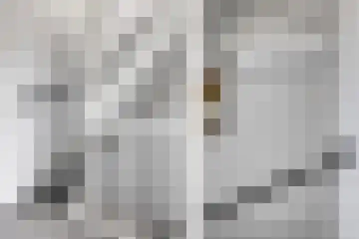 Laan der Middeleeuwen 55 Oss thumbnail 25