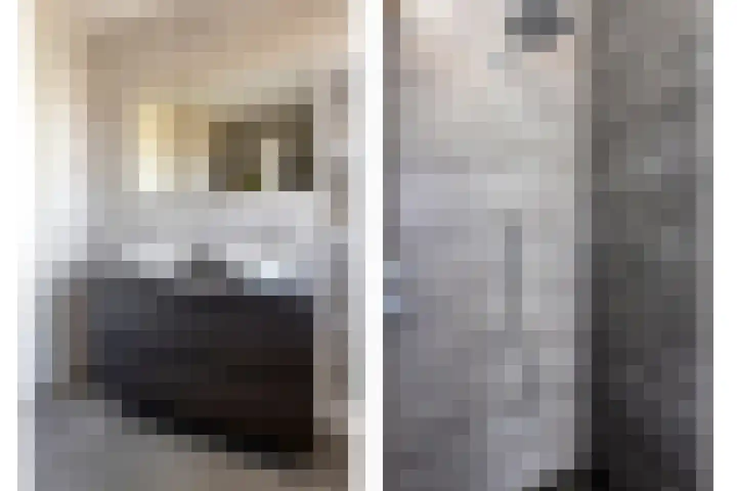 Laan der Middeleeuwen 55 Oss thumbnail 29