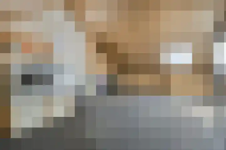 Laan der Middeleeuwen 55 Oss thumbnail 33