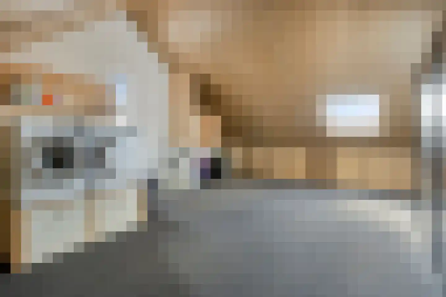 Laan der Middeleeuwen 55 Oss thumbnail 33