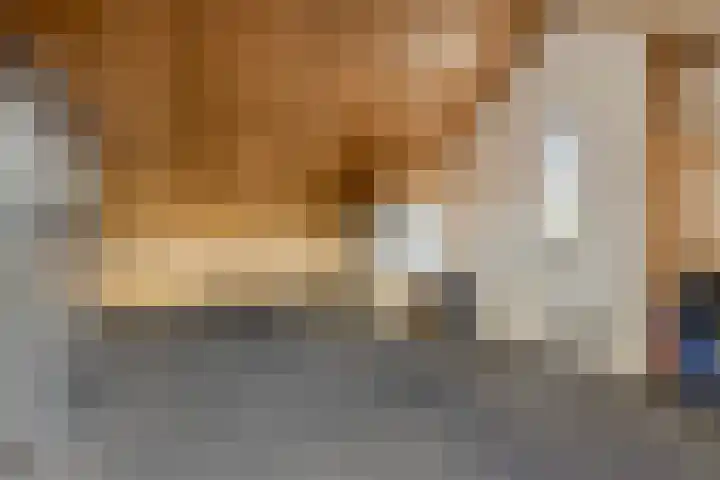 Laan der Middeleeuwen 55 Oss thumbnail 34