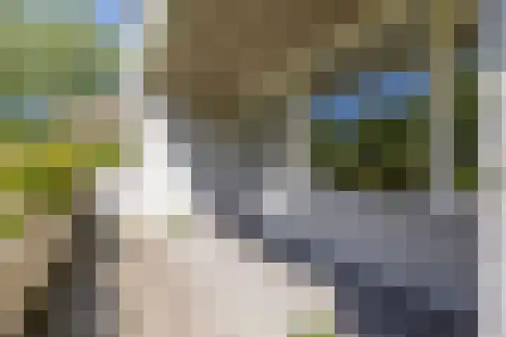 Laan der Nederlanden 106 B Beverwijk thumbnail 19