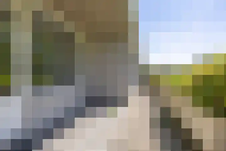 Laan der Nederlanden 106 B Beverwijk thumbnail 20