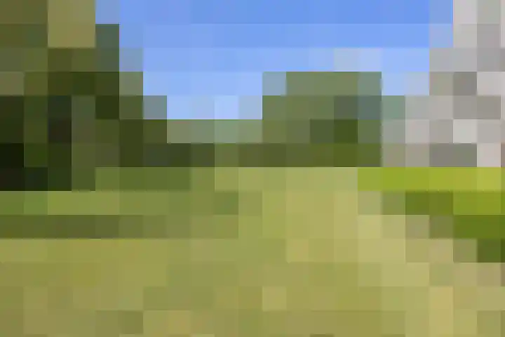 Laan der Nederlanden 106 B Beverwijk thumbnail 24