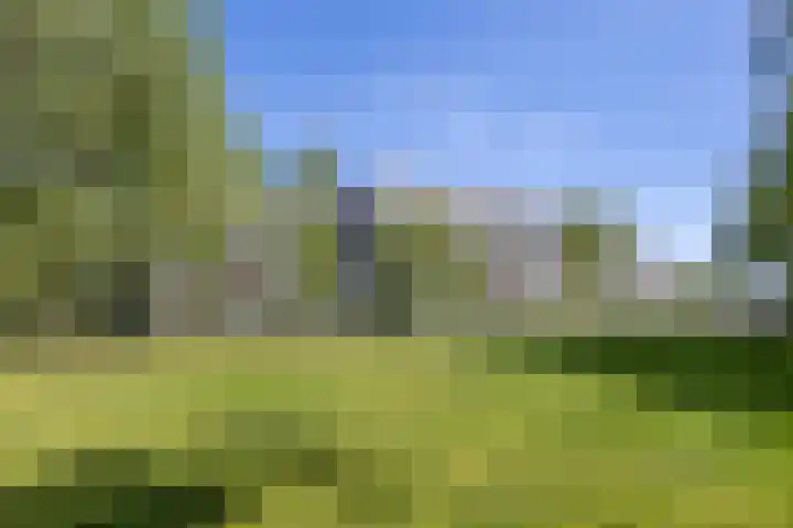 Laan der Nederlanden 106 B Beverwijk thumbnail 25
