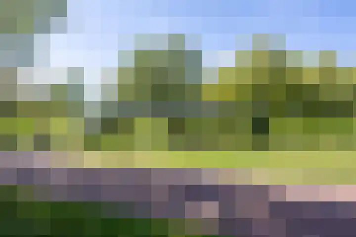 Laan der Nederlanden 106 B Beverwijk thumbnail 26