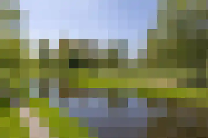 Laan der Nederlanden 106 B Beverwijk thumbnail 27