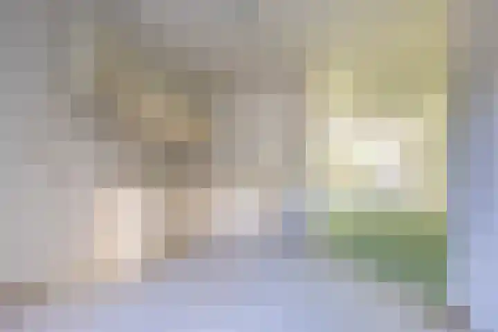 Laan der Nederlanden 106 B Beverwijk thumbnail 8