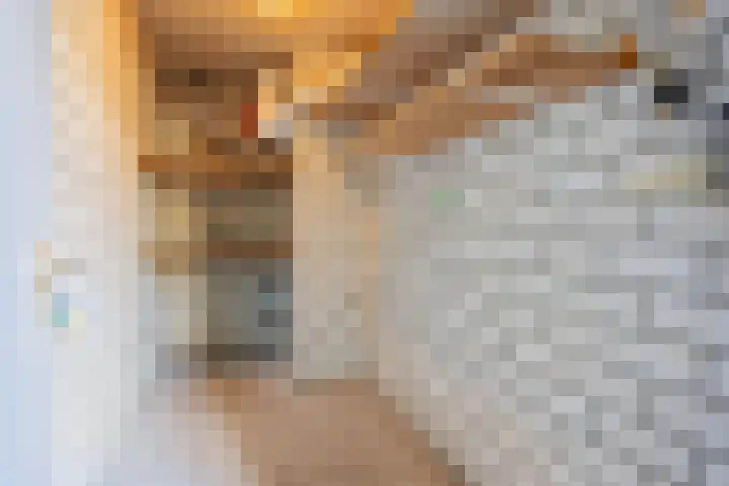 Laan der Nederlanden 106 Beverwijk thumbnail 26