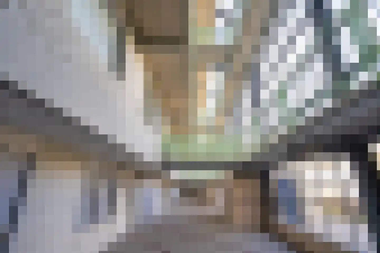 Laan der Nederlanden 106 Beverwijk thumbnail 28