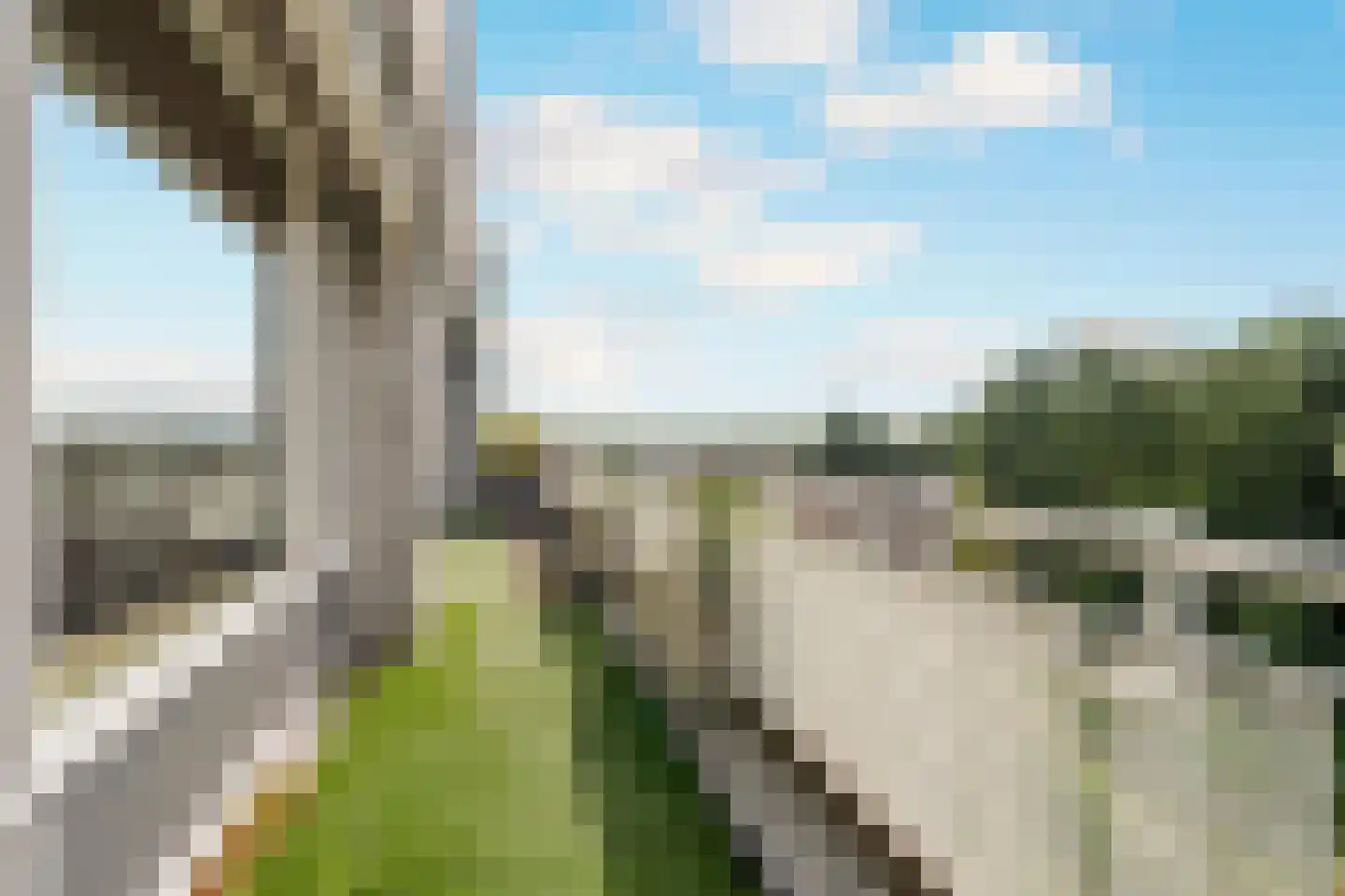 Laan der Nederlanden 140 A Beverwijk thumbnail 21