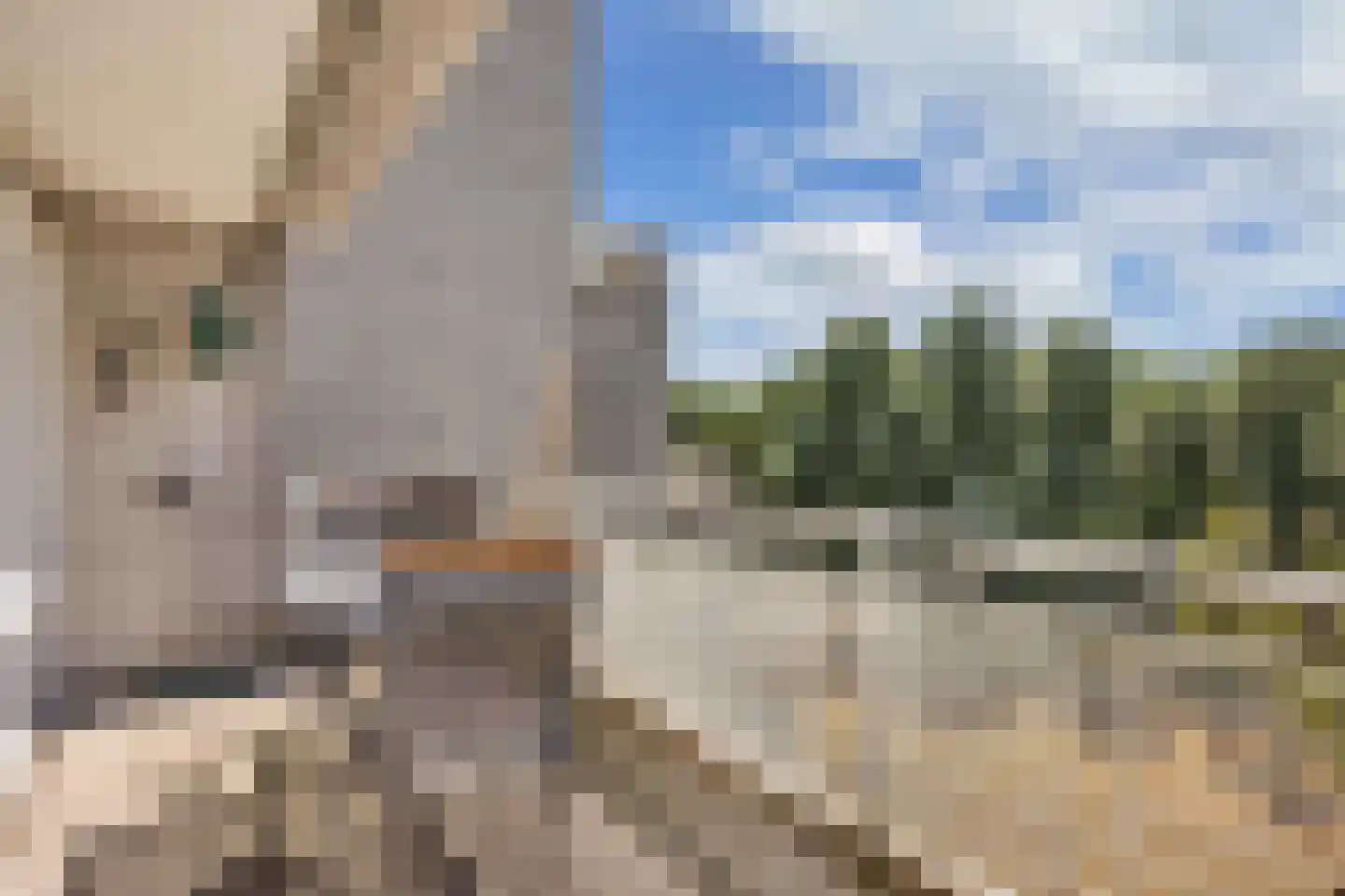 Laan der Nederlanden 142 Beverwijk thumbnail 11