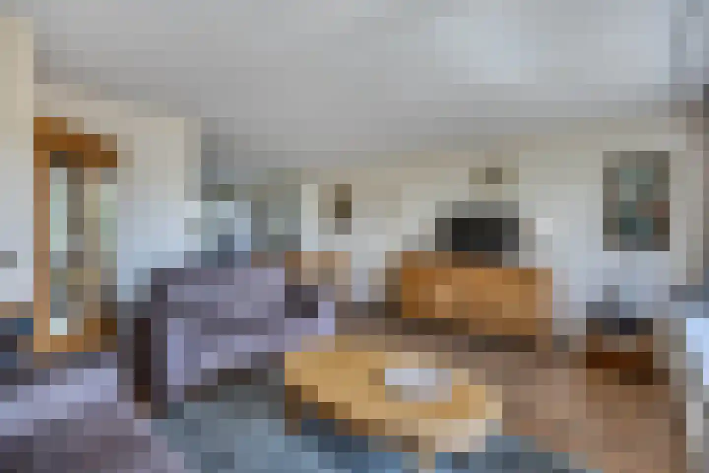 Laan der Nederlanden 142 Beverwijk thumbnail 15