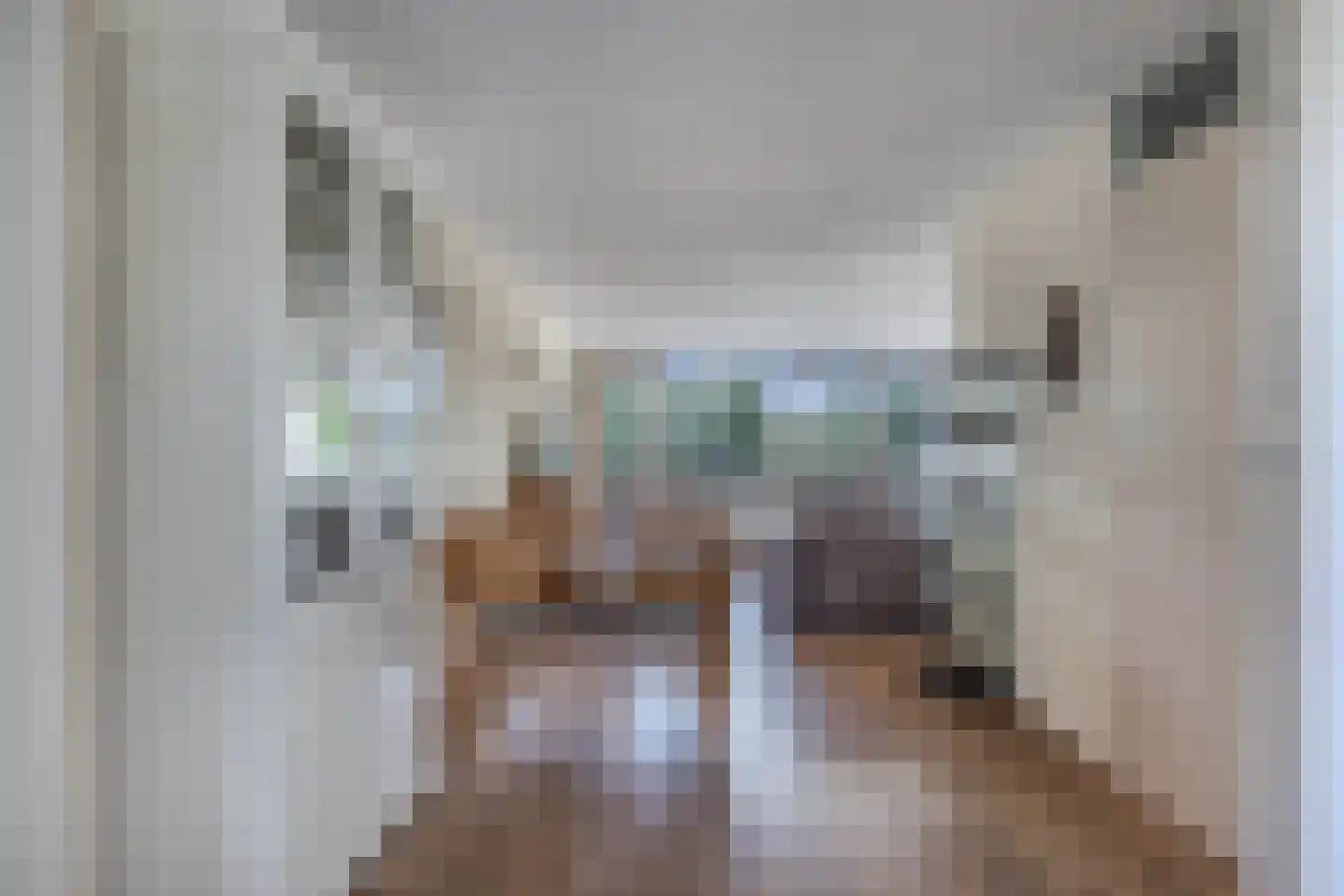 Laan der Nederlanden 142 Beverwijk thumbnail 24