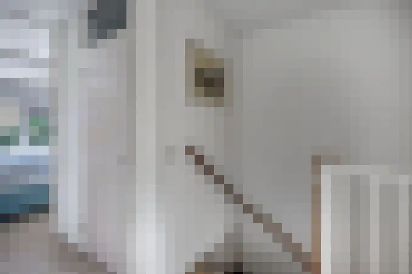 Laan der Nederlanden 142 Beverwijk thumbnail 25