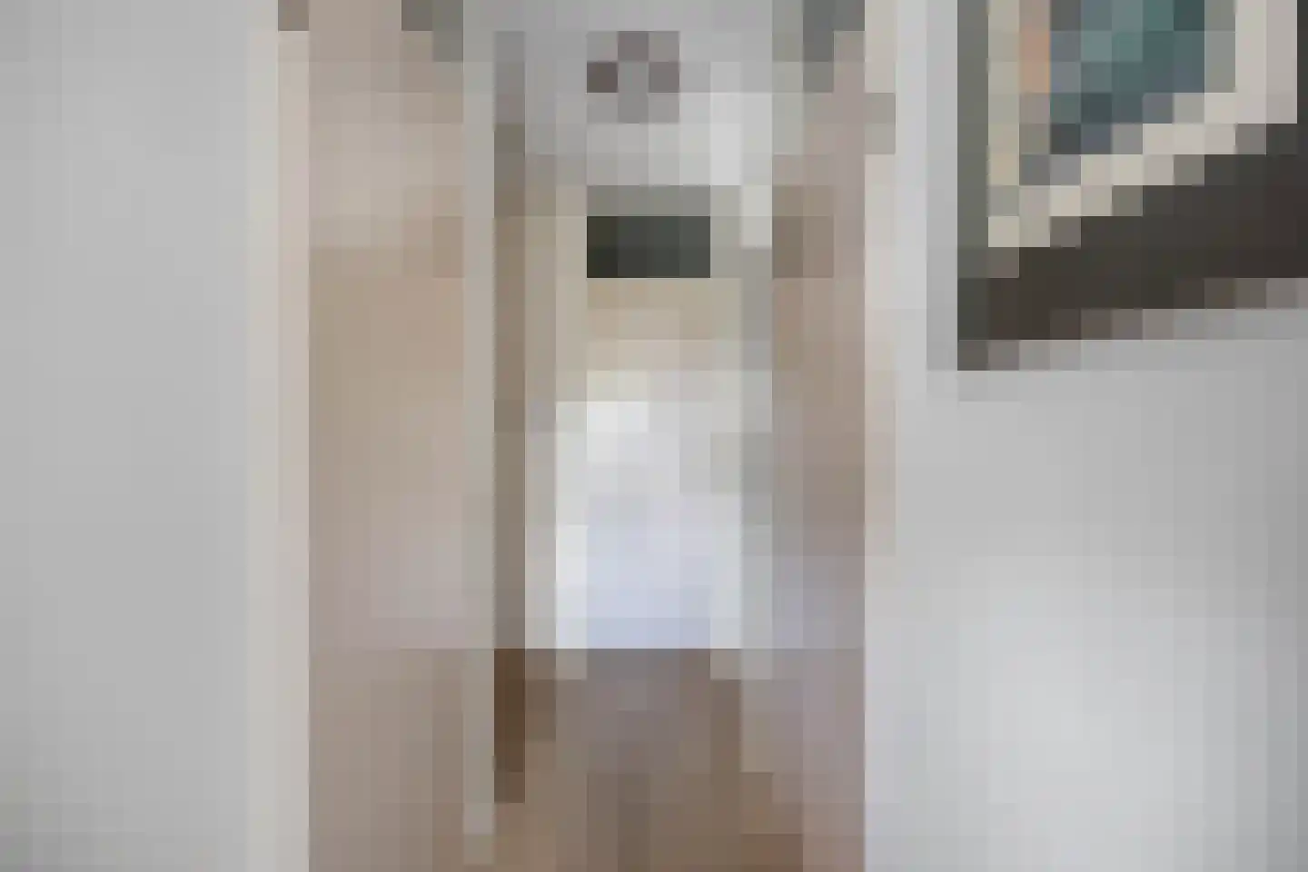 Laan der Nederlanden 142 Beverwijk thumbnail 27