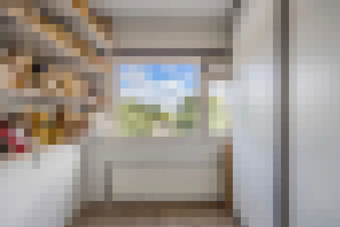 Laan der Nederlanden 142 Beverwijk thumbnail 30