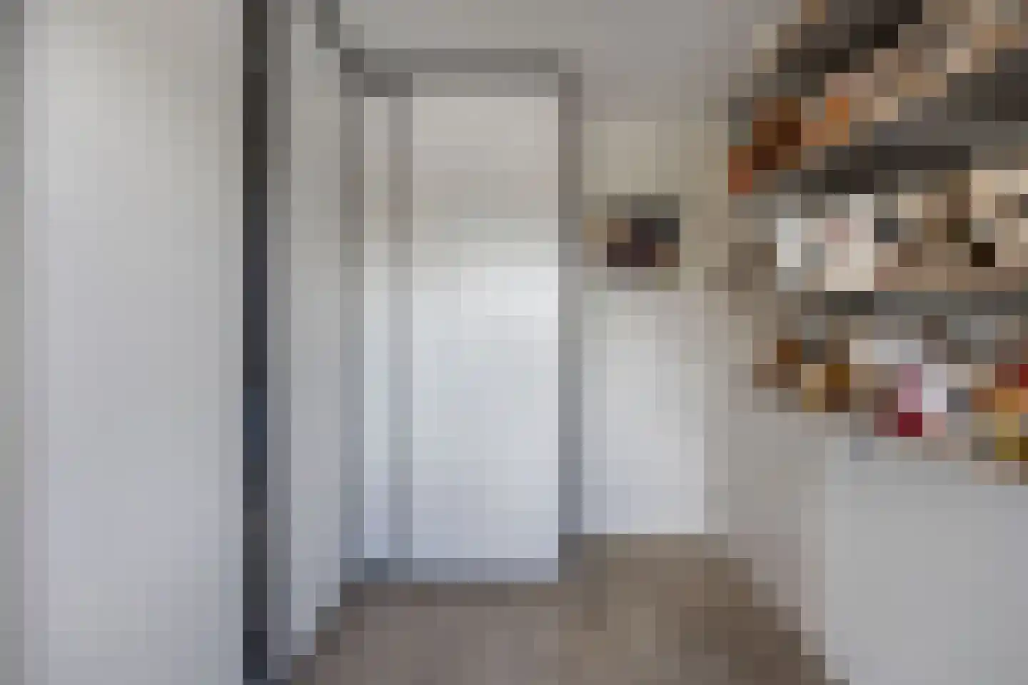Laan der Nederlanden 142 Beverwijk thumbnail 31
