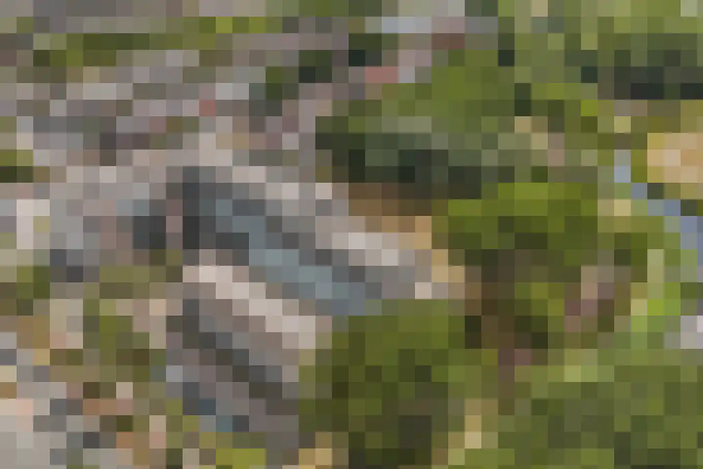 Laan der Nederlanden 142 Beverwijk thumbnail 36