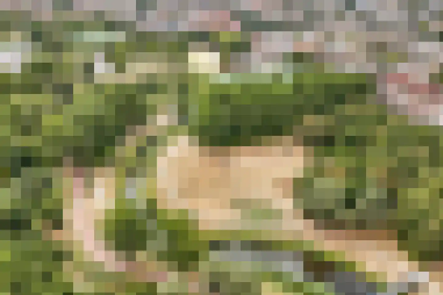 Laan der Nederlanden 142 Beverwijk thumbnail 43