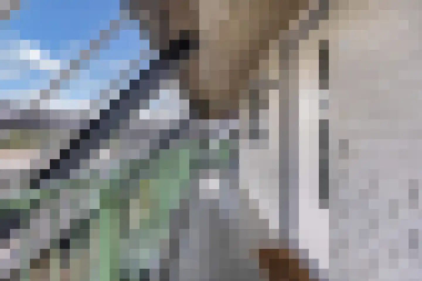 Laan der Nederlanden 142 Beverwijk thumbnail 5
