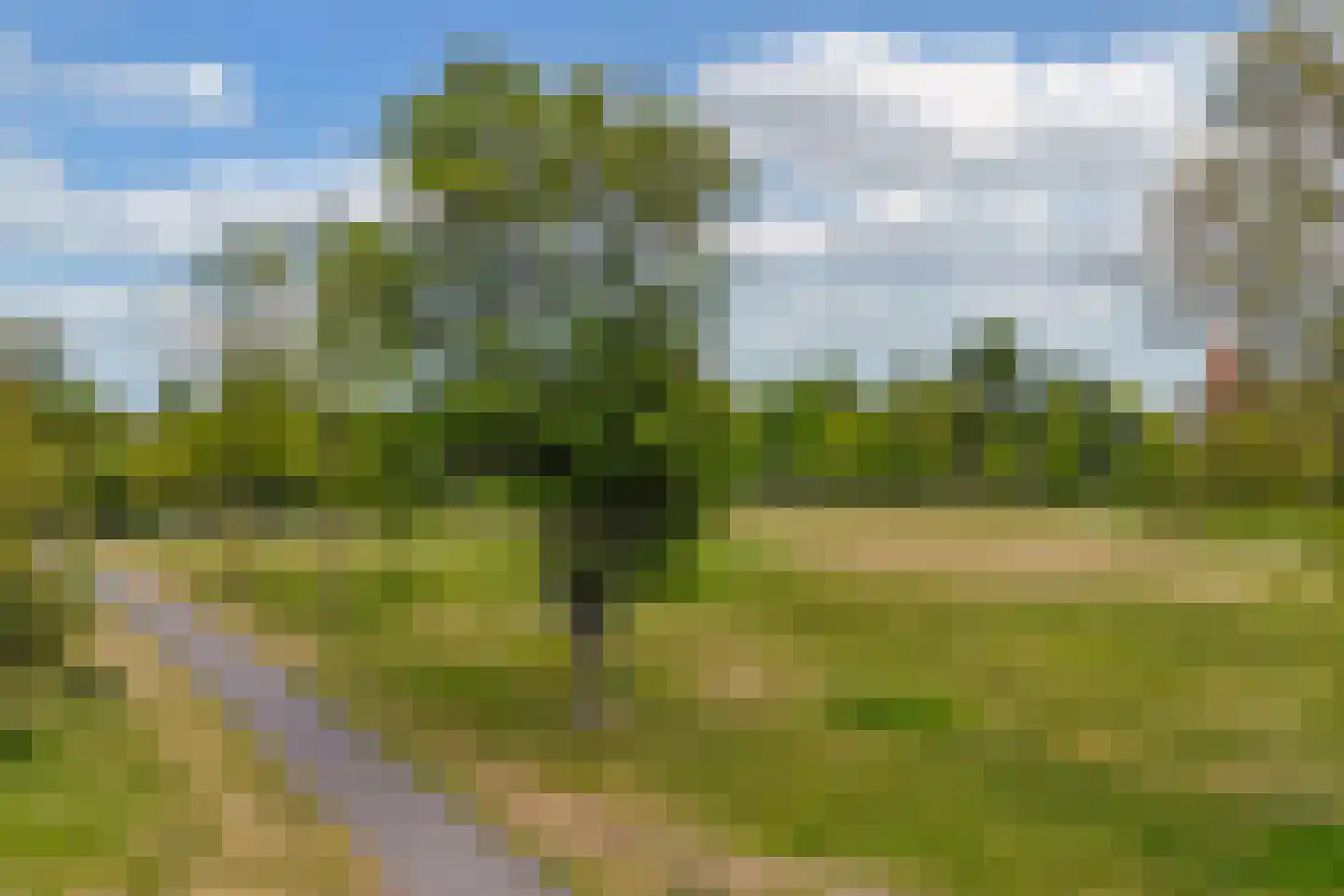 Laan der Nederlanden 174 Beverwijk thumbnail 42