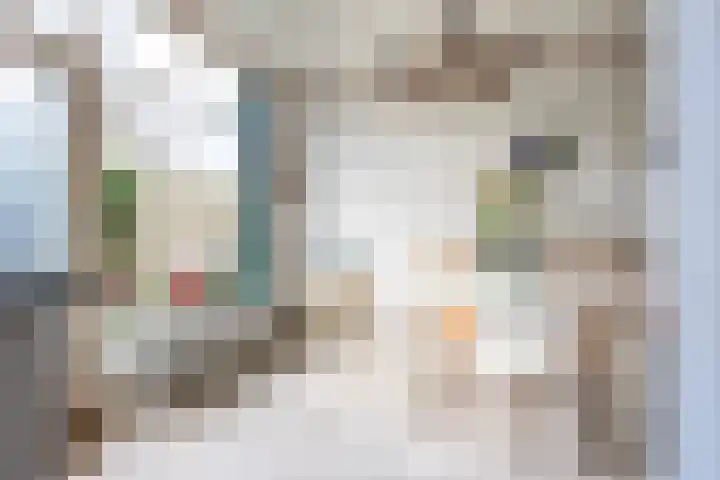 Laan der Nederlanden 184 Beverwijk thumbnail 12