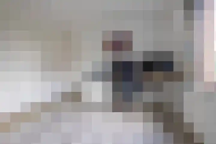 Laan der Nederlanden 184 Beverwijk thumbnail 22