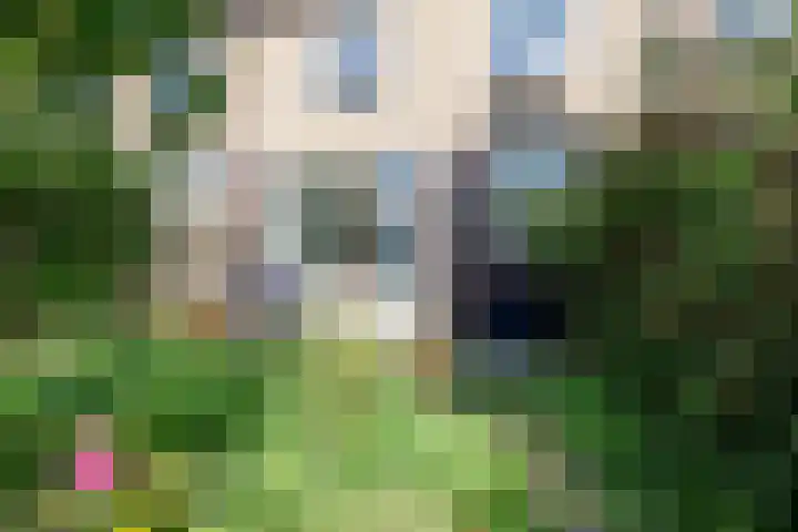 Laan der Nederlanden 184 Beverwijk thumbnail 35