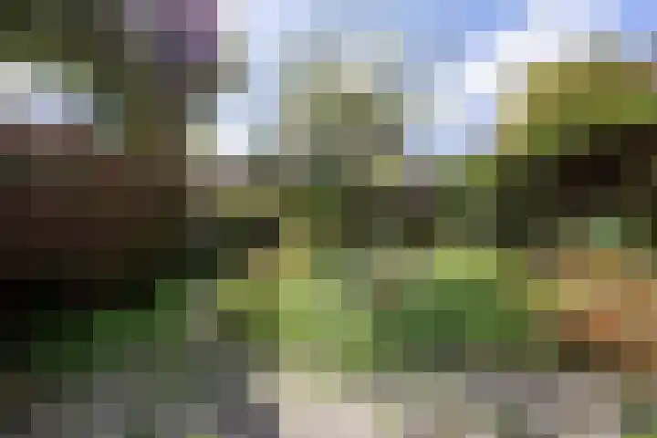 Laan der Nederlanden 184 Beverwijk thumbnail 36
