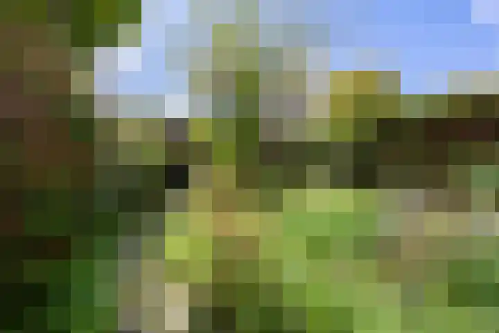 Laan der Nederlanden 184 Beverwijk thumbnail 37