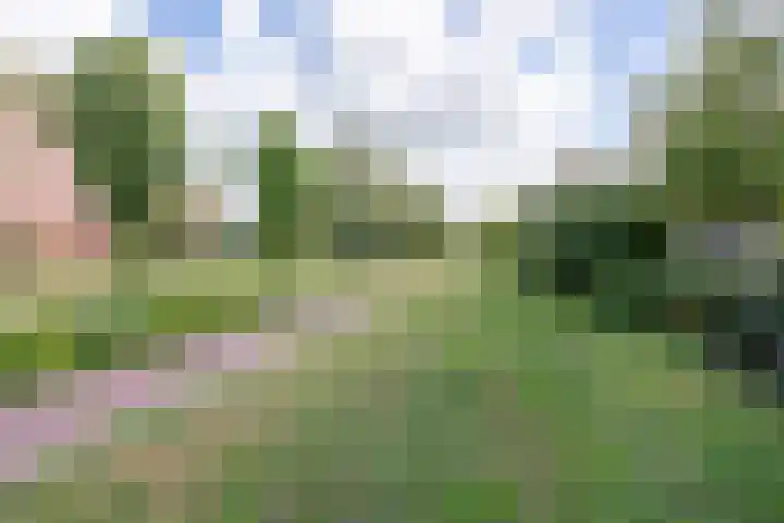 Laan der Nederlanden 184 Beverwijk thumbnail 45