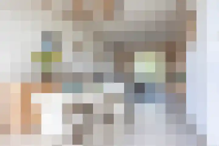 Laan der Nederlanden 184 Beverwijk thumbnail 8