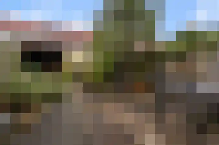 Laan der Nederlanden 6 Beverwijk thumbnail 13