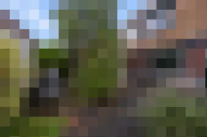 Laan der Nederlanden 6 Beverwijk thumbnail 15
