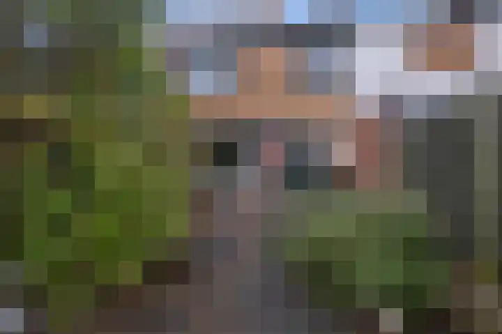 Laan der Nederlanden 6 Beverwijk thumbnail 17