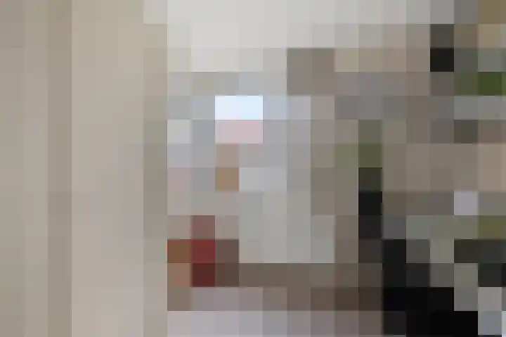Laan der Nederlanden 6 Beverwijk thumbnail 23