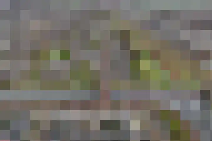 Laan der Nederlanden 6 Beverwijk thumbnail 39