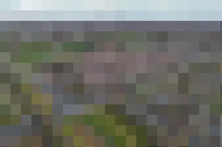 Laan der Nederlanden 6 Beverwijk thumbnail 45